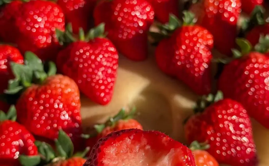 ������������֮�ó԰��ұ�������