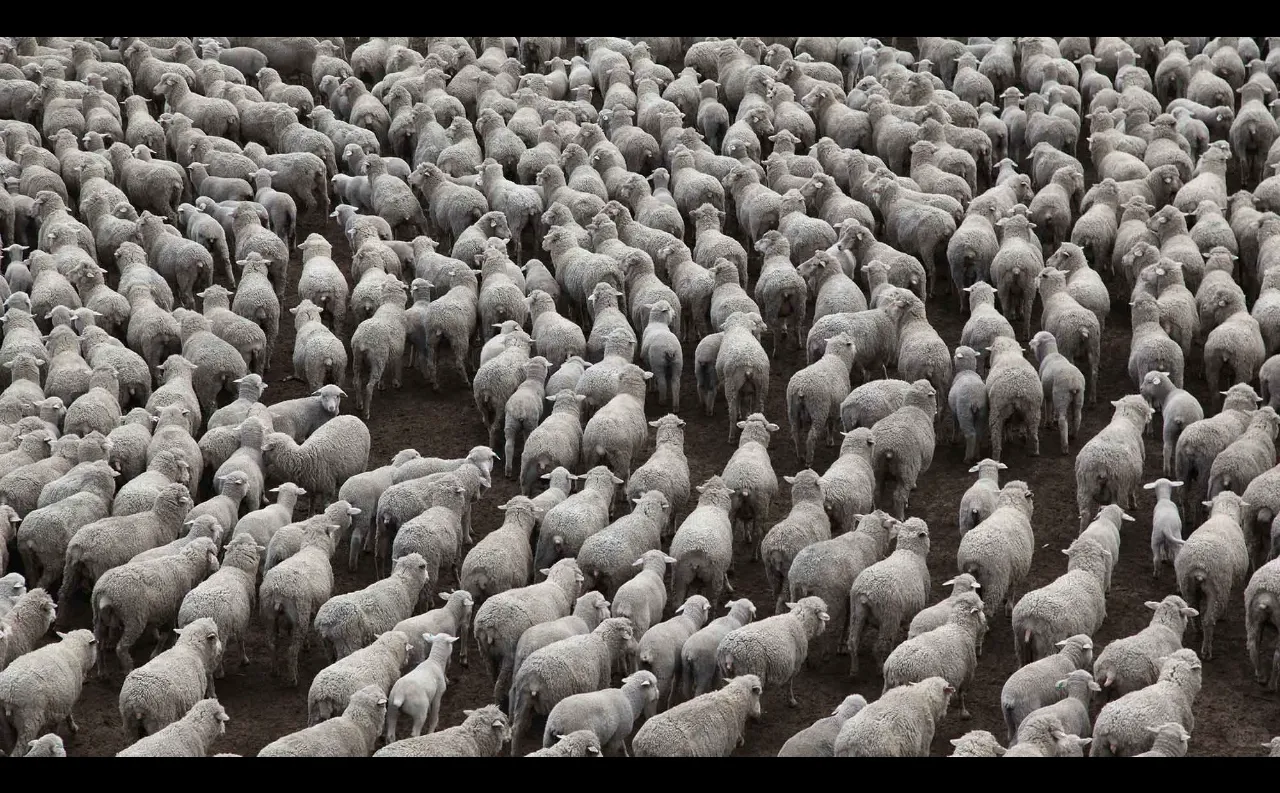 Ӳ���򣺲����������ŵ�򣨸�β��