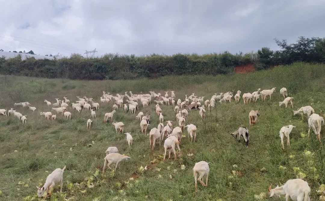 ??�ܾ�Ȧ��??�ܾ����أ�