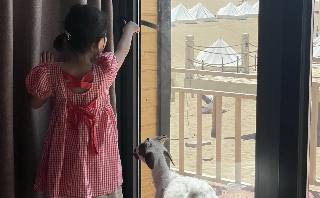 ��С�򲻹�񫣬�Ǿ���һֻ���������