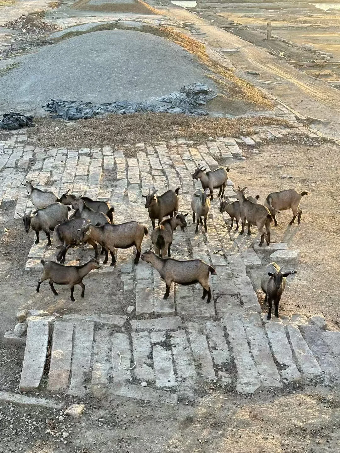 �Ұ��ִ��ҳ���������