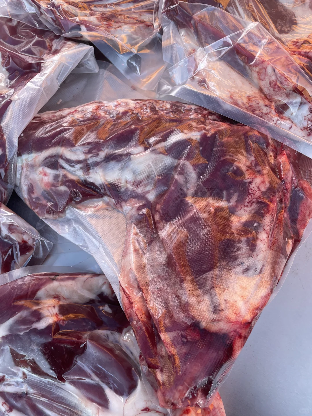 ����?������������������ȥ�ˣ������