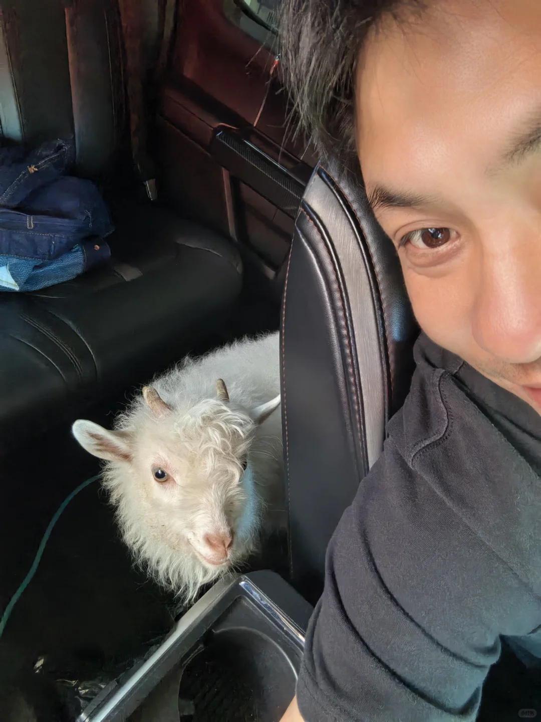 ��������Ҿ͸���