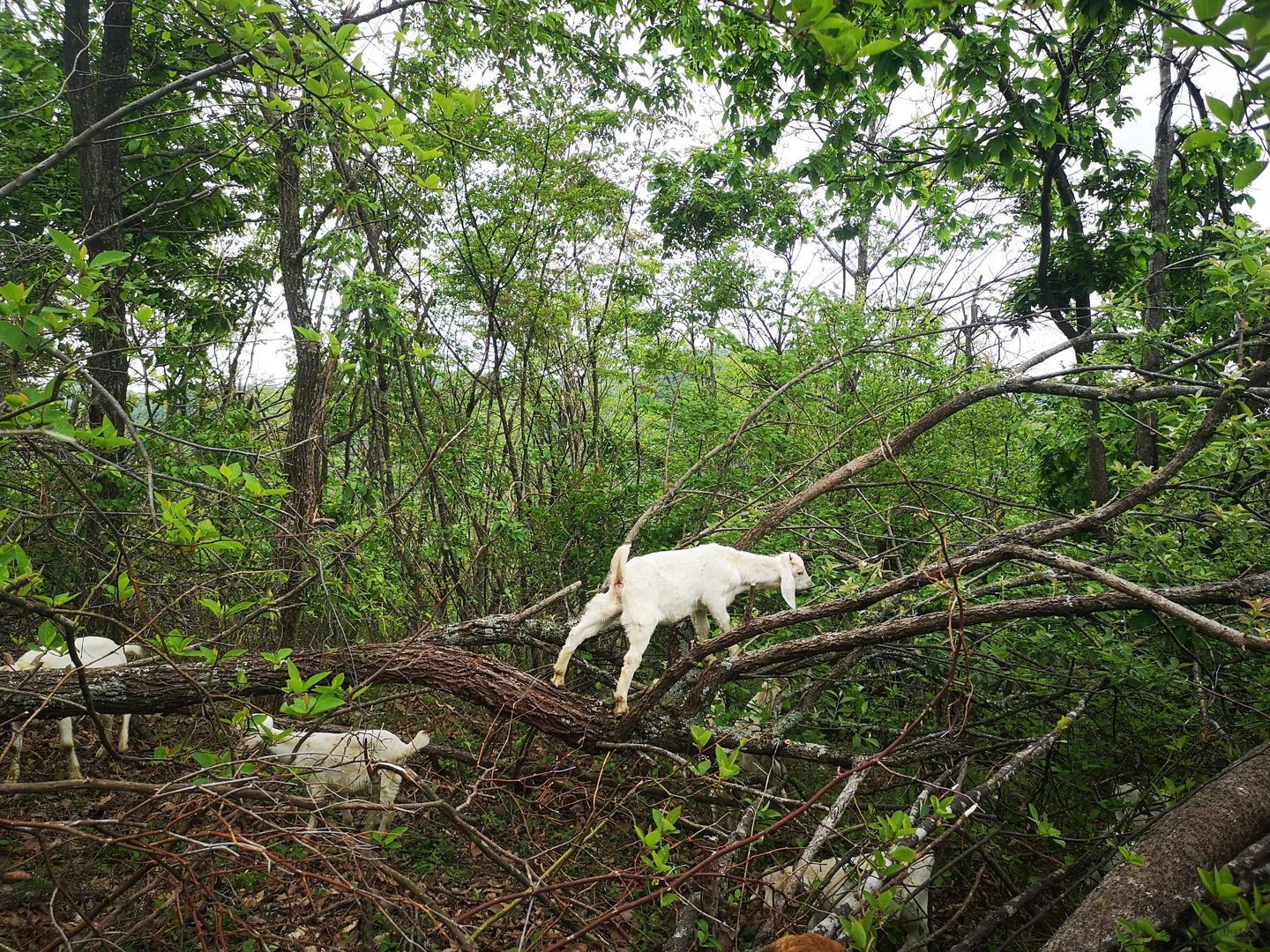 ��û����Ҫ������ɽ��ģ�ȫ�����