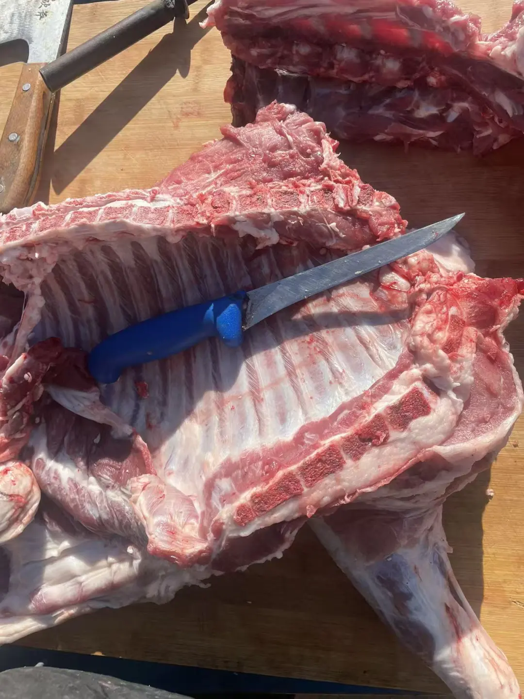 ÿ���ַ�������ֵ�ñ�����