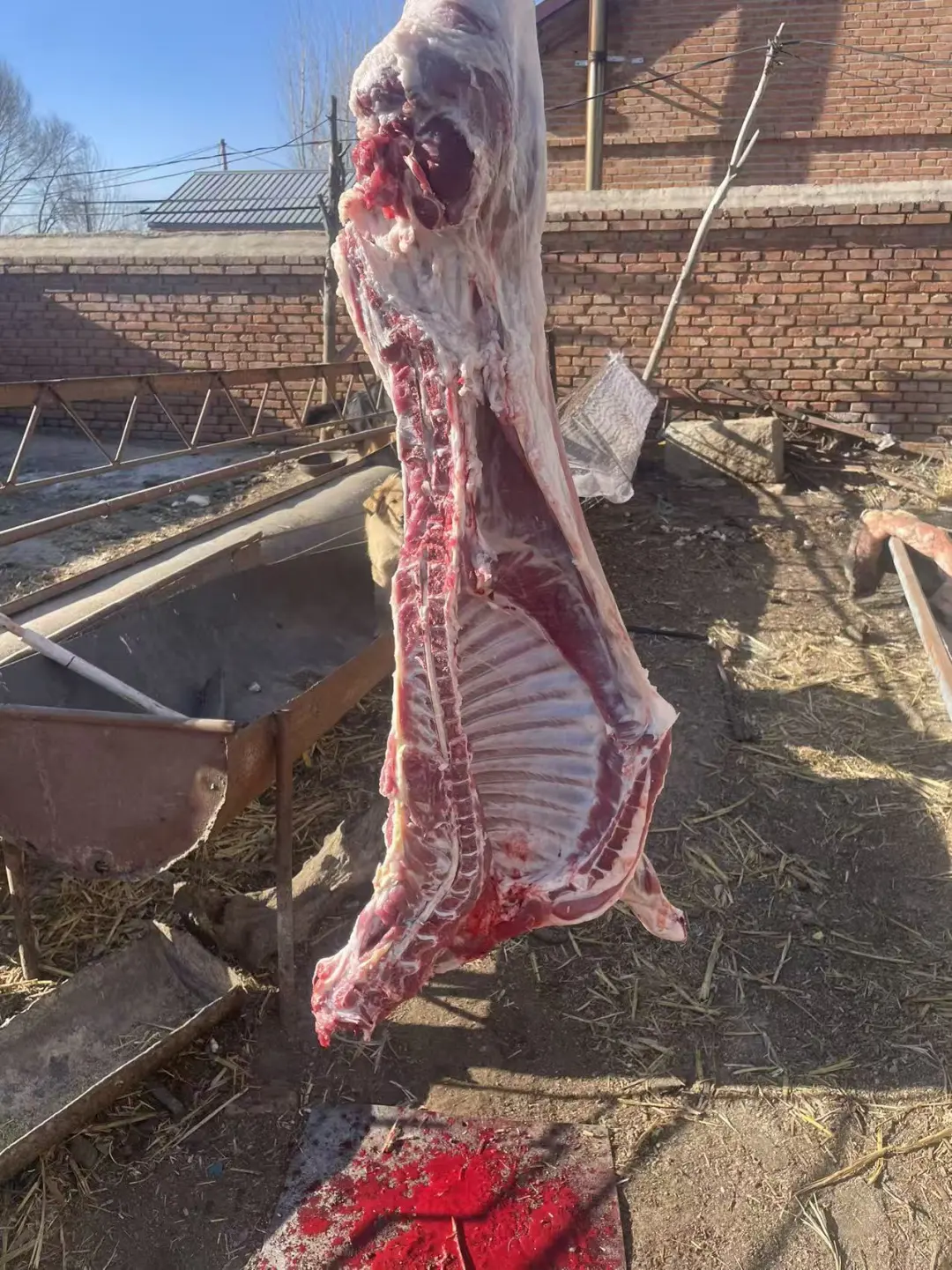 ÿ���ַ�������ֵ�ñ�����