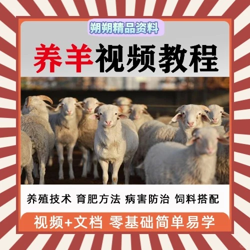 养羊技术大全山羊绵羊肉羊病饲养资料