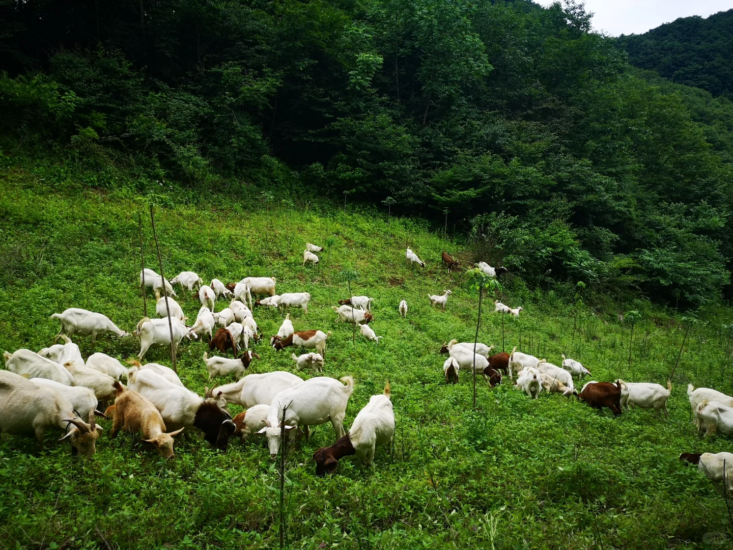 ��û����Ҫ������ɽ��ģ�ȫ�����