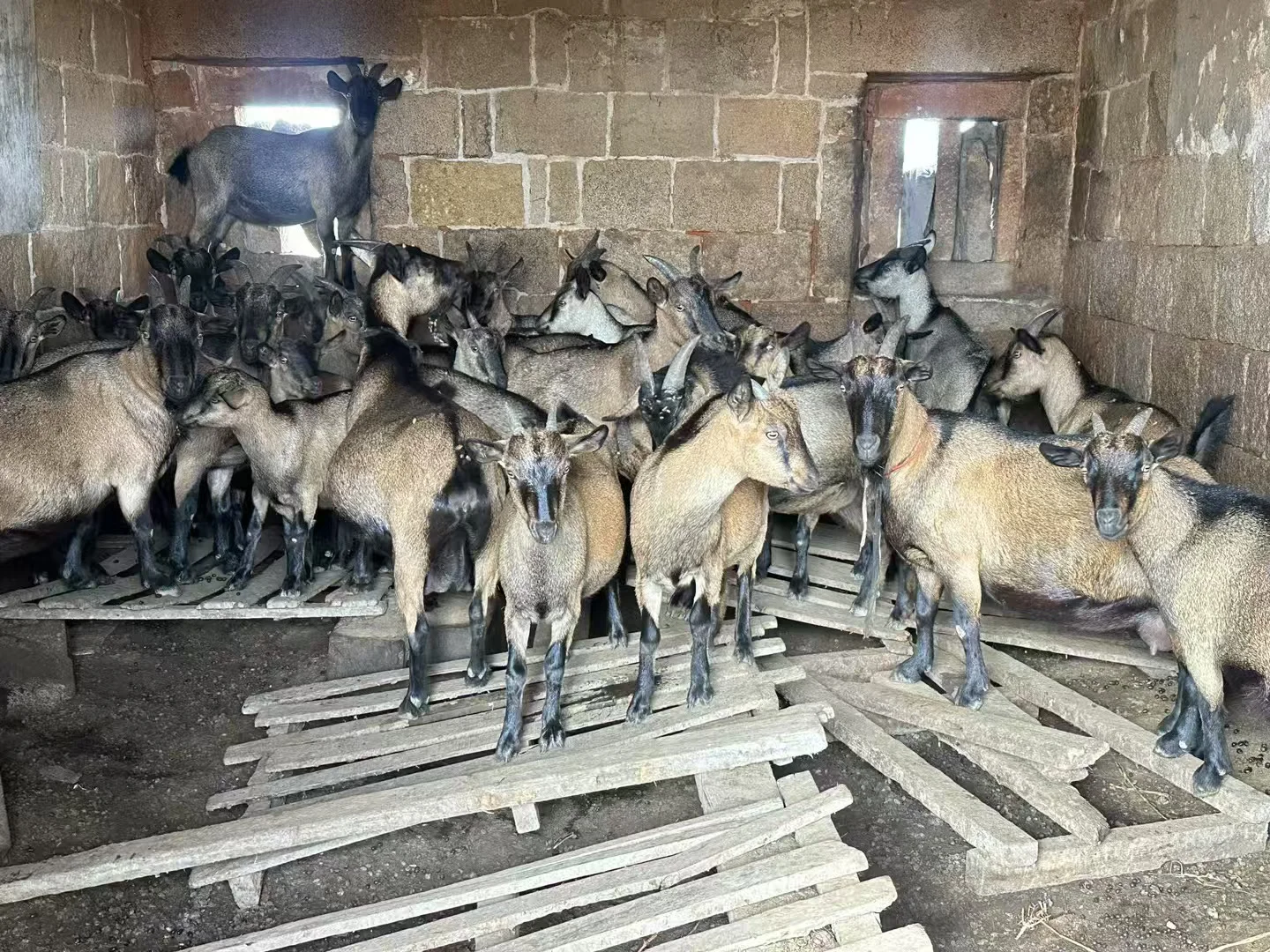 �Ұ��ִ��ҳ���������