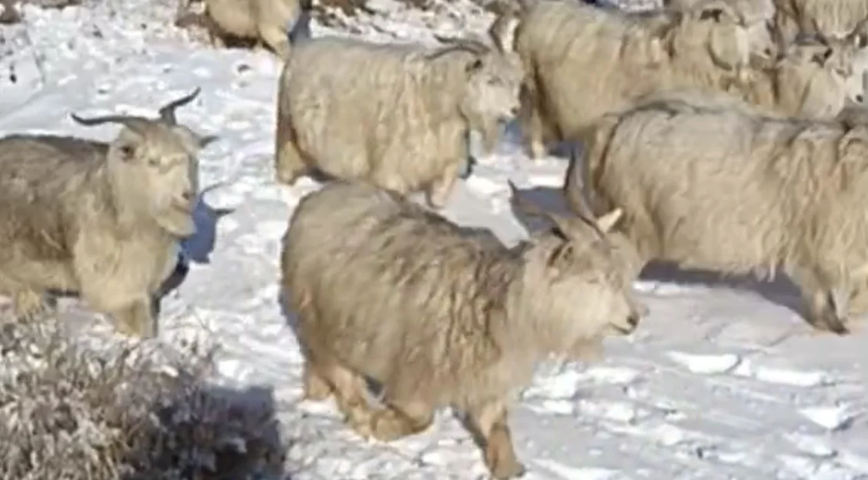 ����������