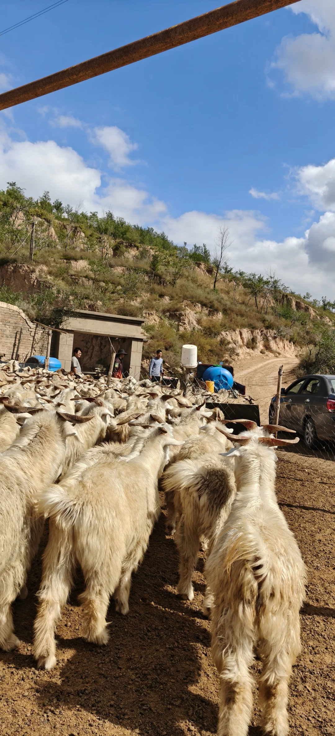 ����һ�����ֵ���ɽ��~