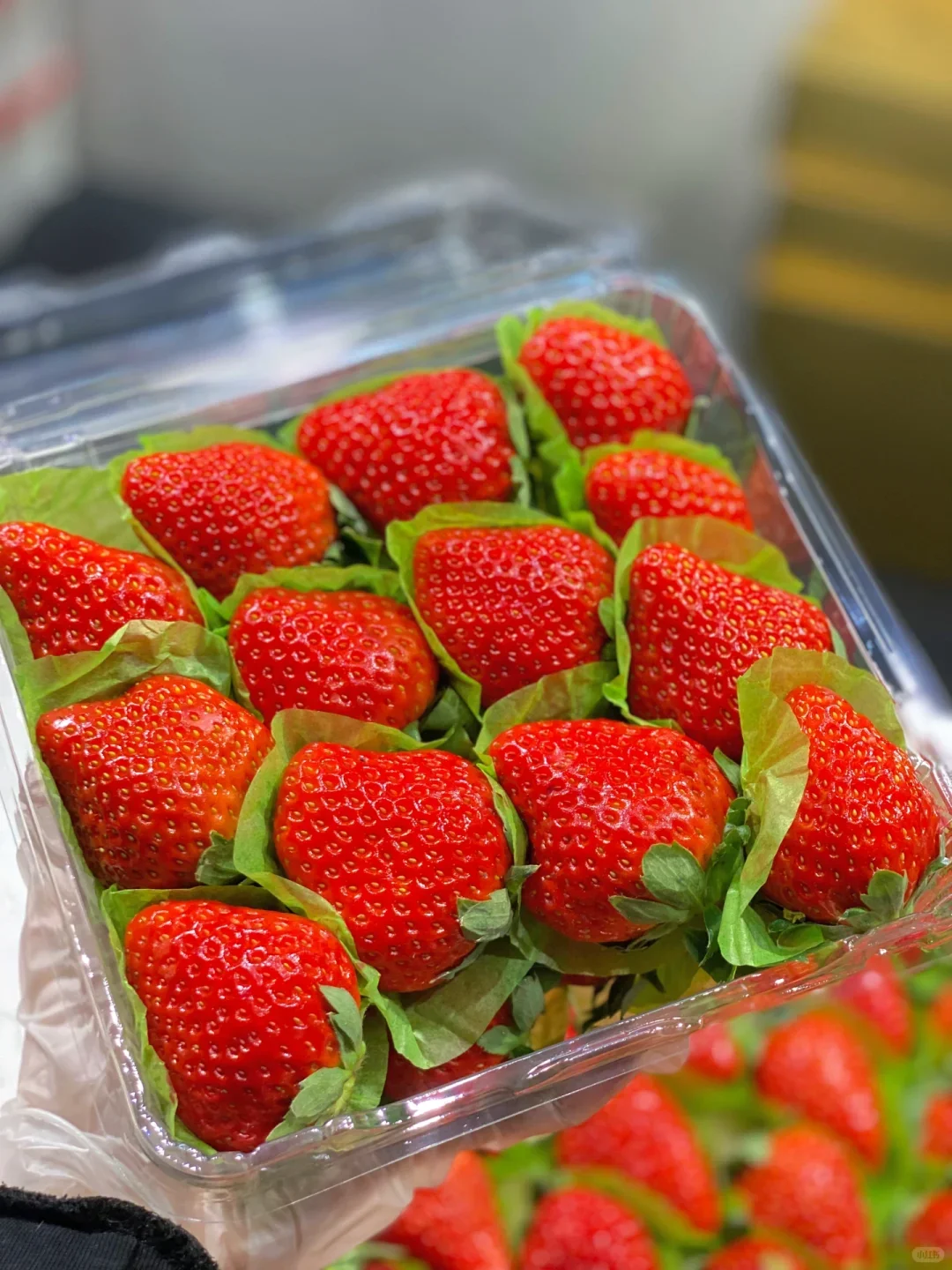 ������ݮ