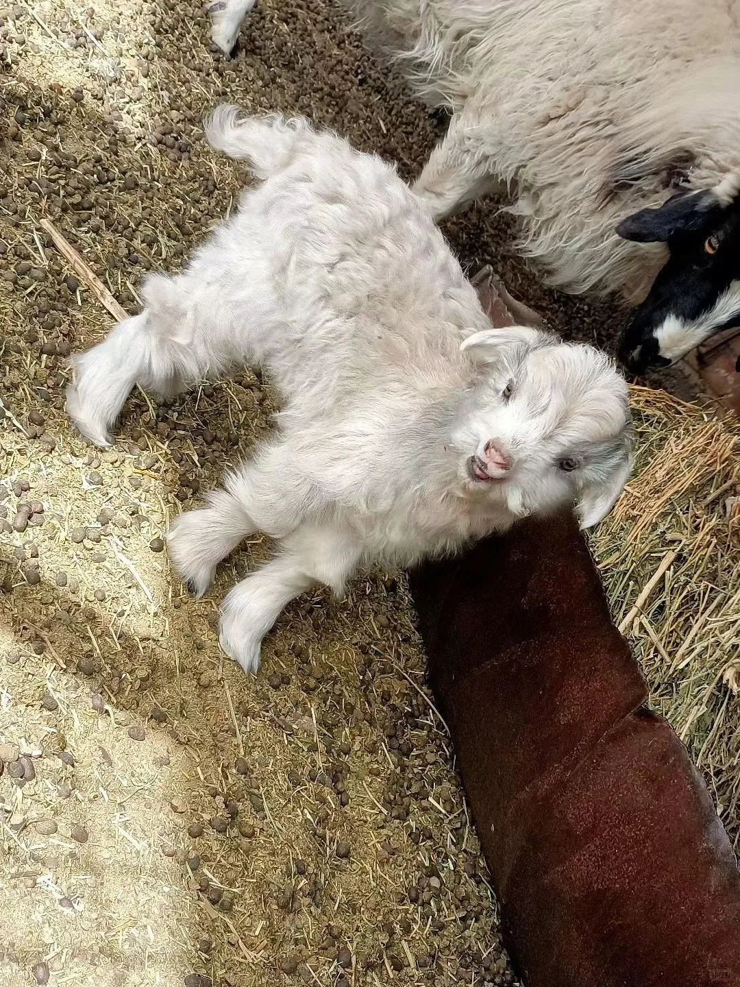 �����Ƽ�Ʒ�����