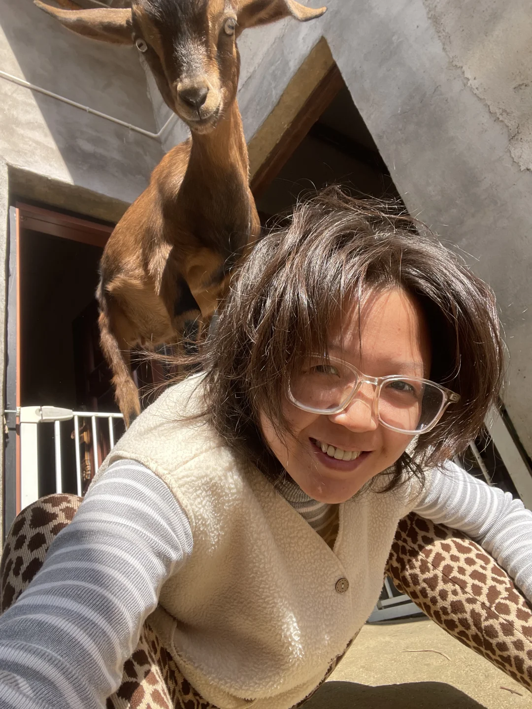 �Һ��ҵ�С����»��ڼ���