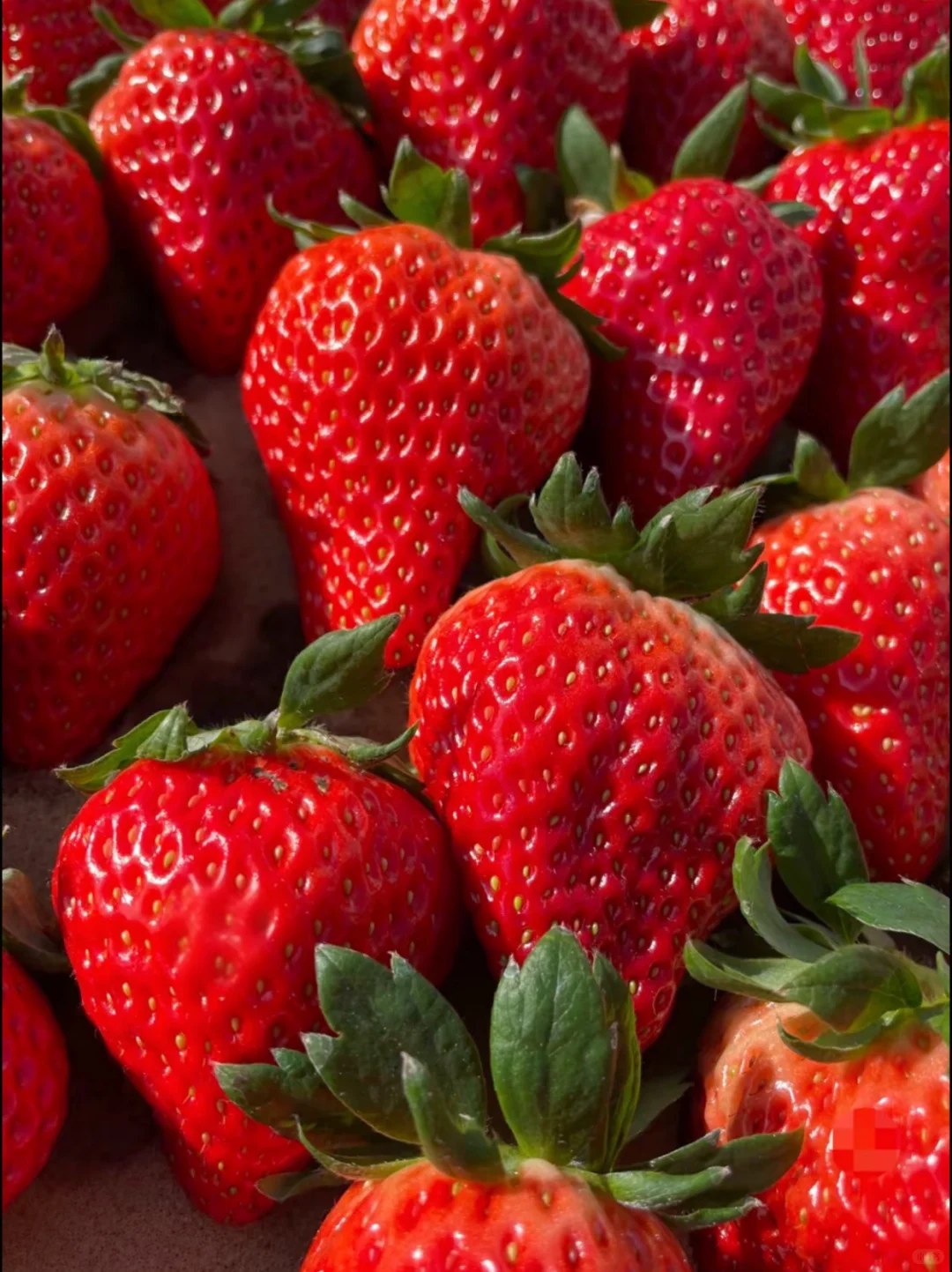 ������������֮�ó԰��ұ�������