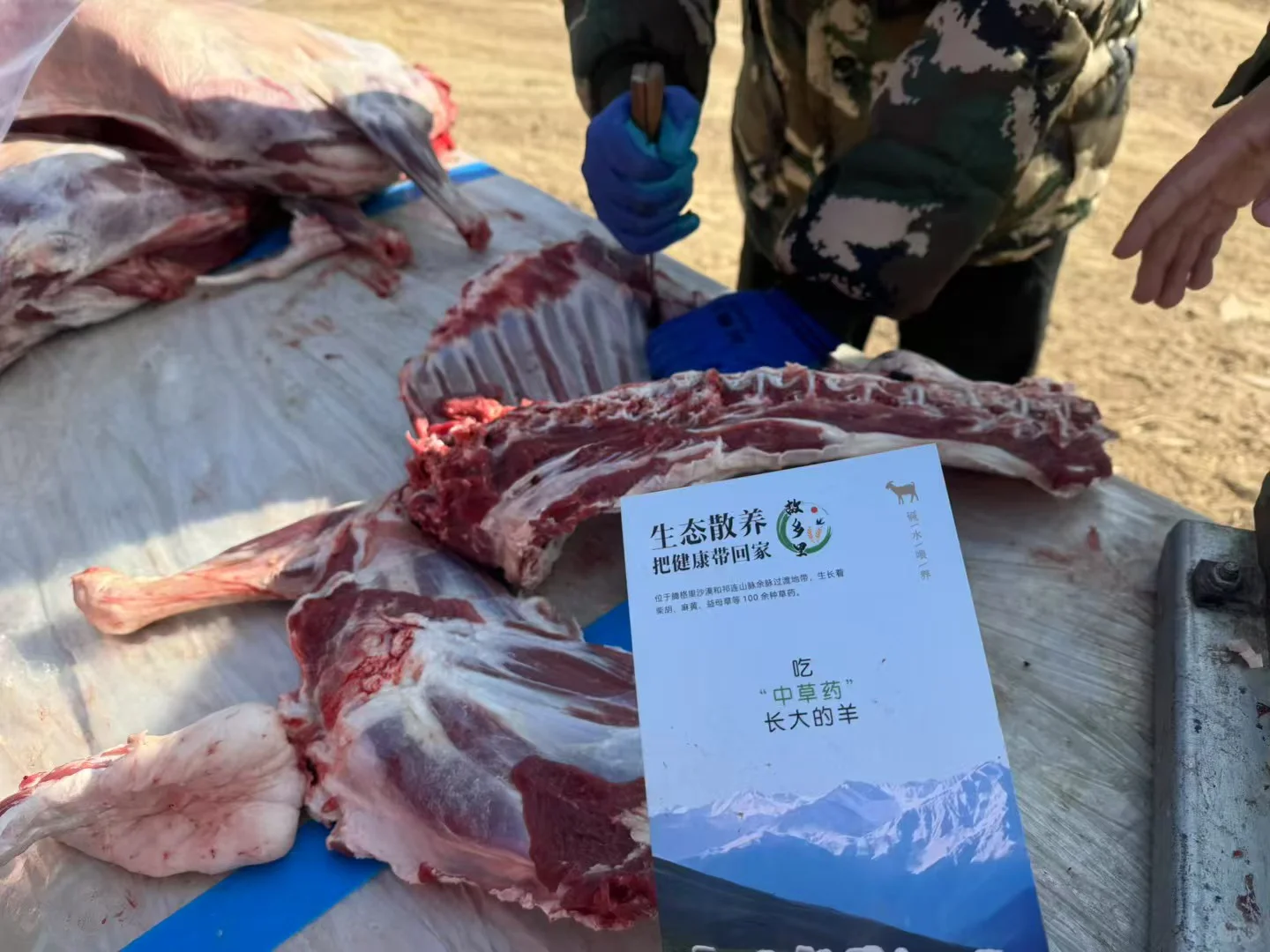 ������̲�μ����̬��ɽ��̲��