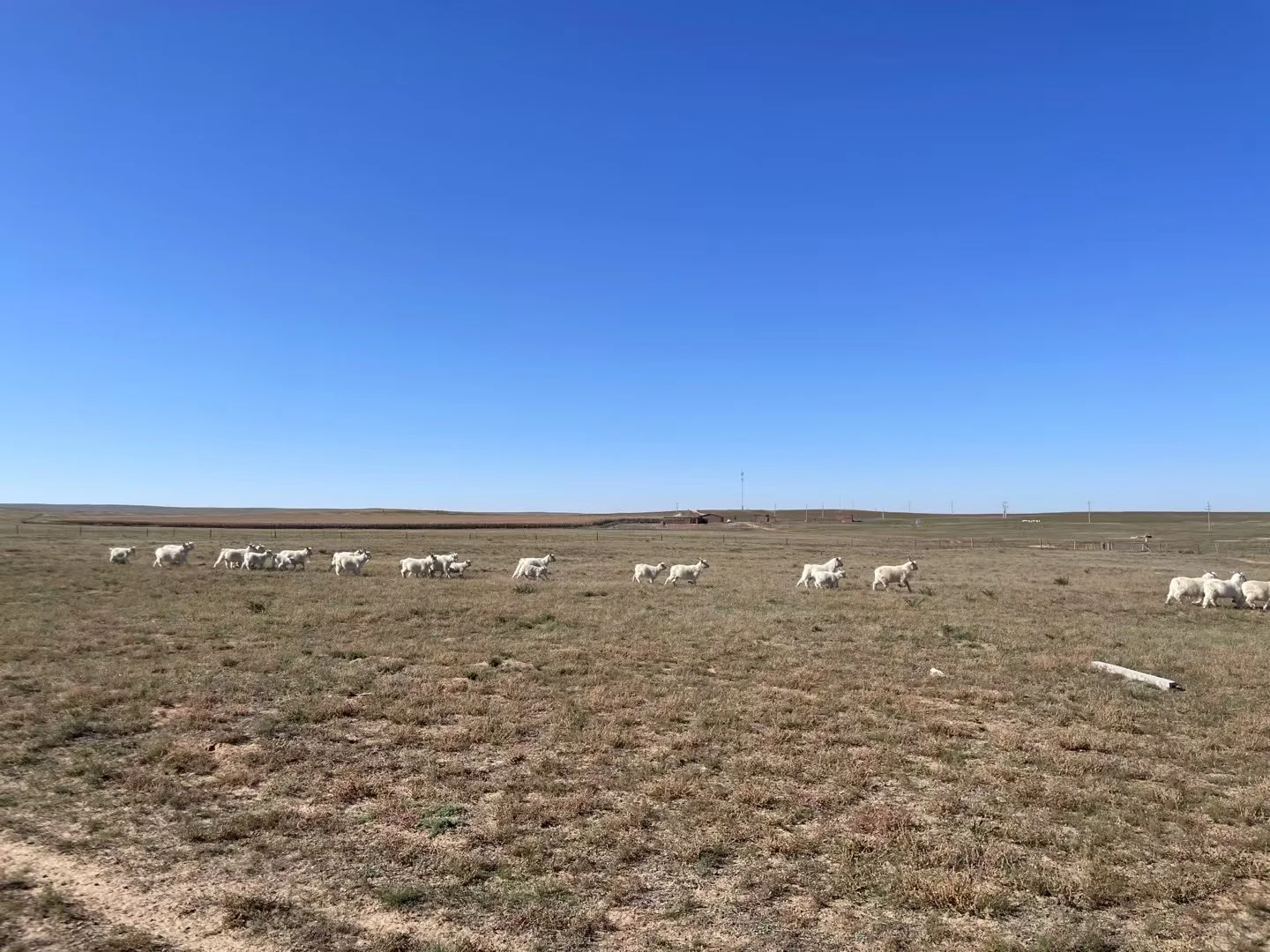 ����?������������������ȥ�ˣ������