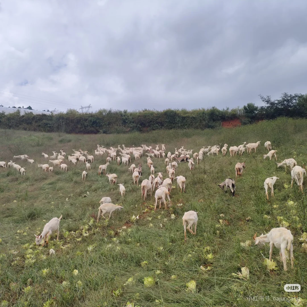 ??�ܾ�Ȧ��??�ܾ����أ�