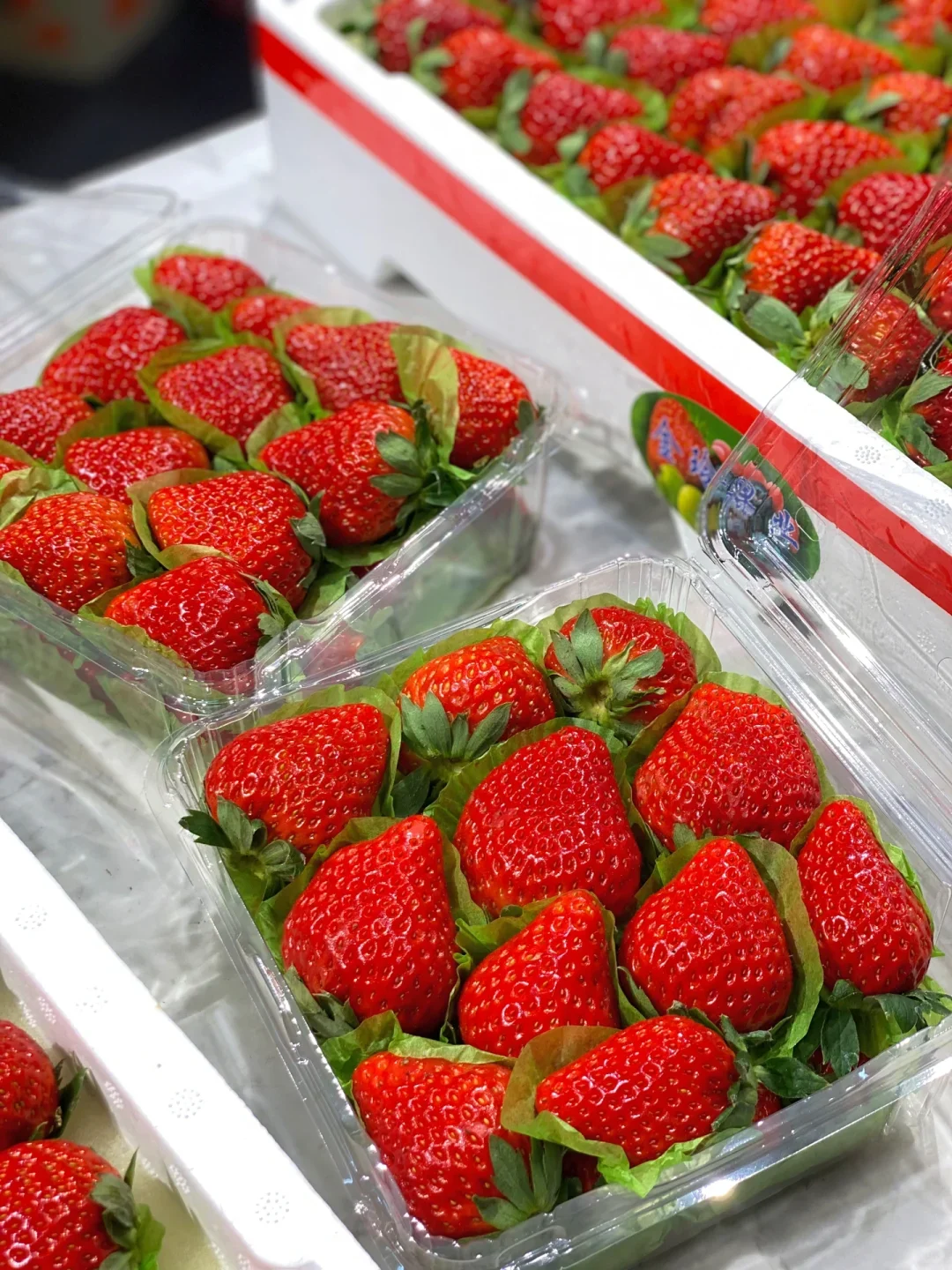 ������ݮ