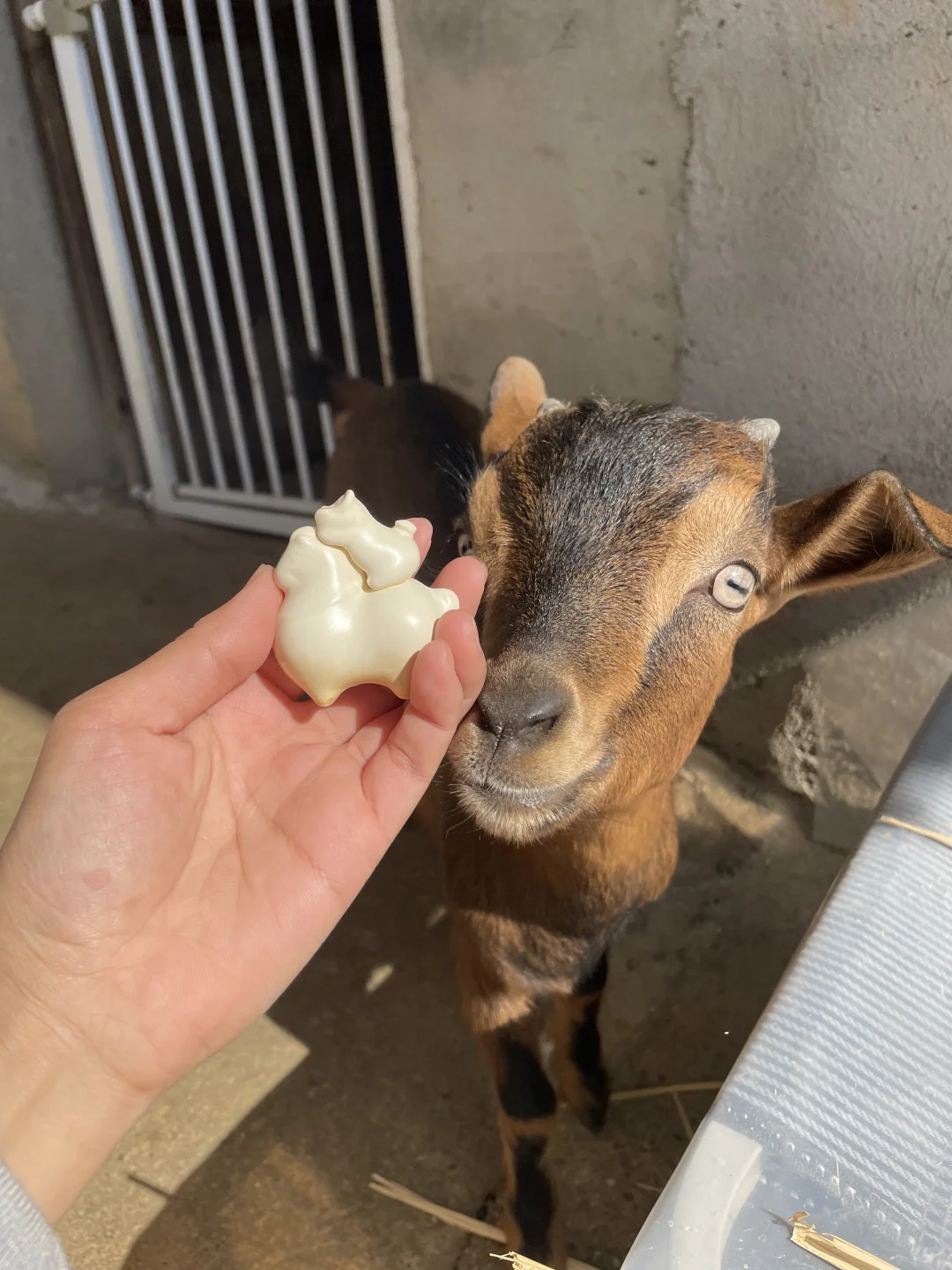 �Һ��ҵ�С����»��ڼ���