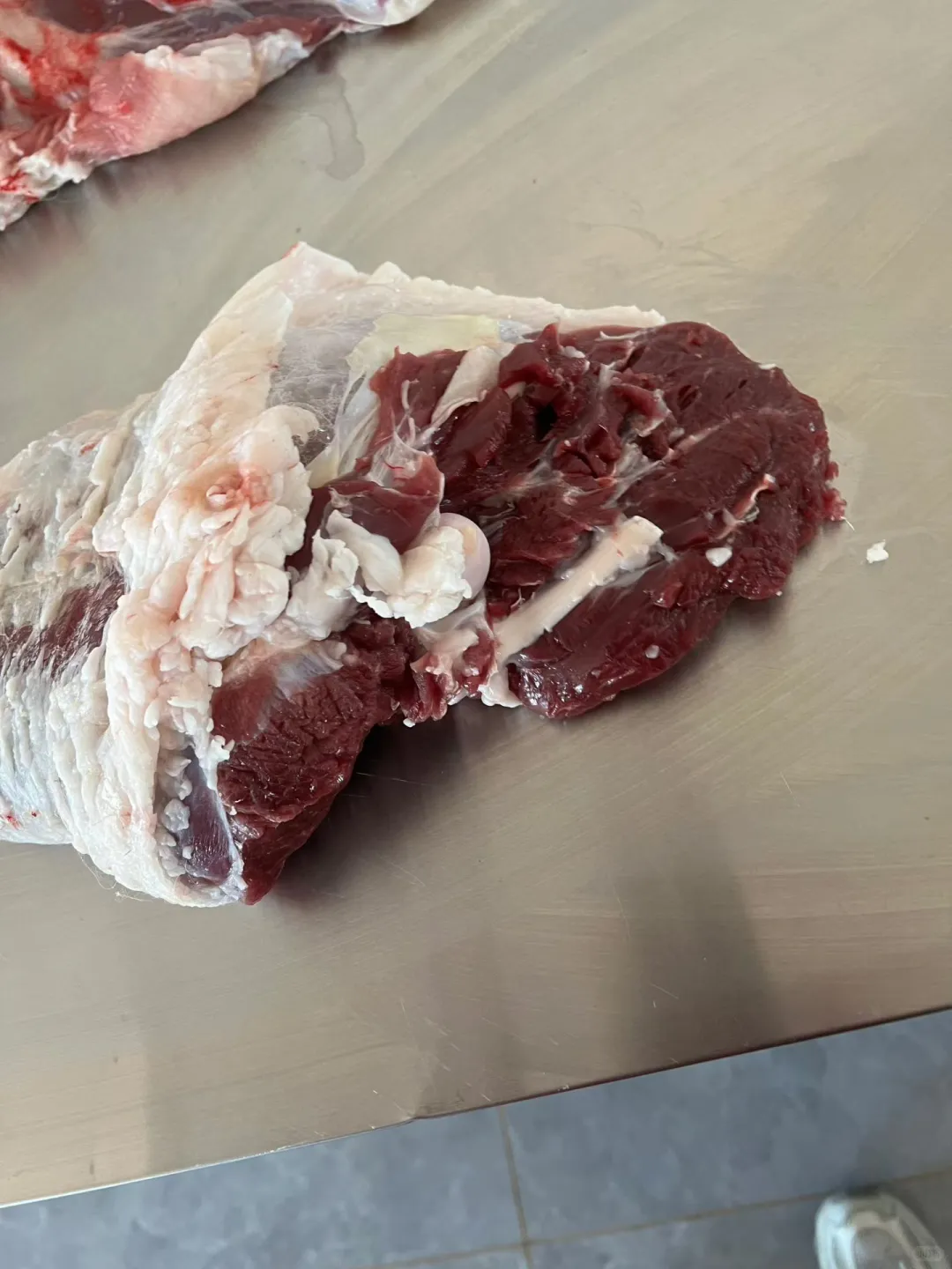 阿尔巴斯山羊!凭什么是天花板的存在!!