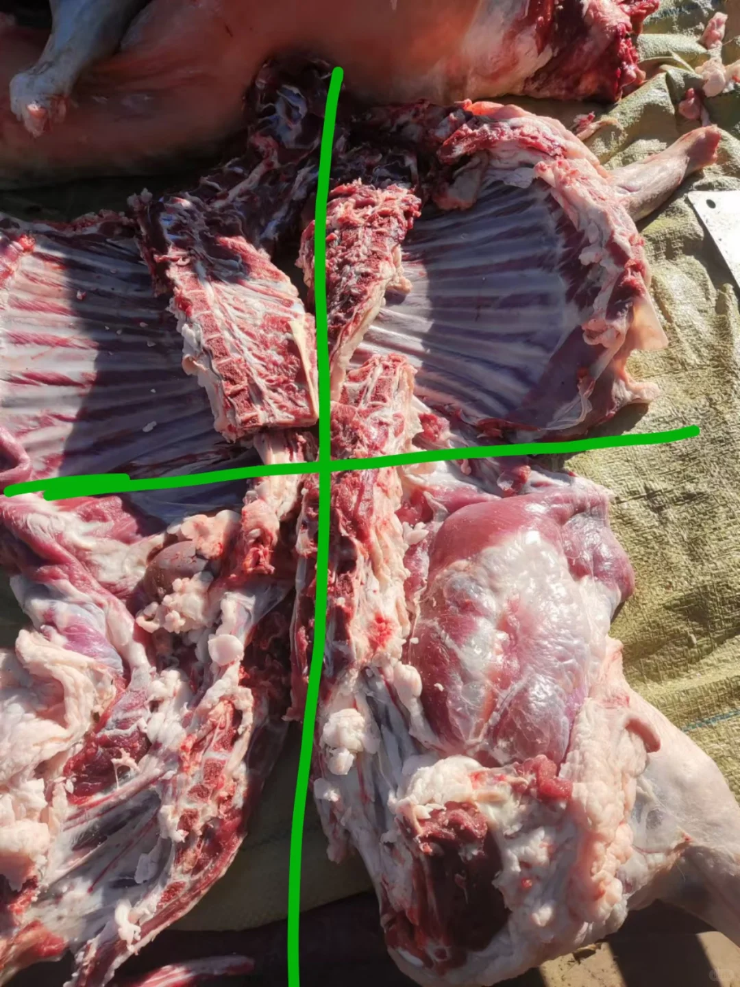 ˭Ҫ�ķ�֮һɽ����12�����ң�������