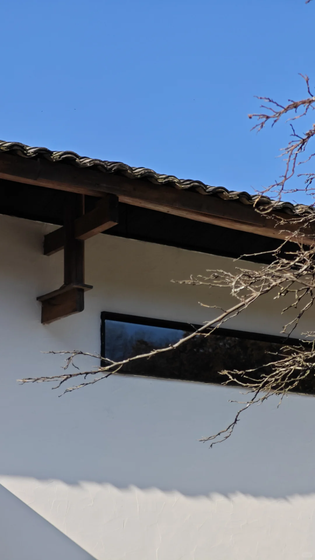 �� ����������������24Сʱ