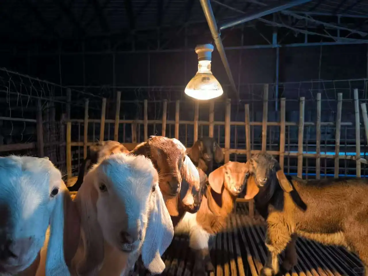 �ɶ��ܱ߰��ϰ�������