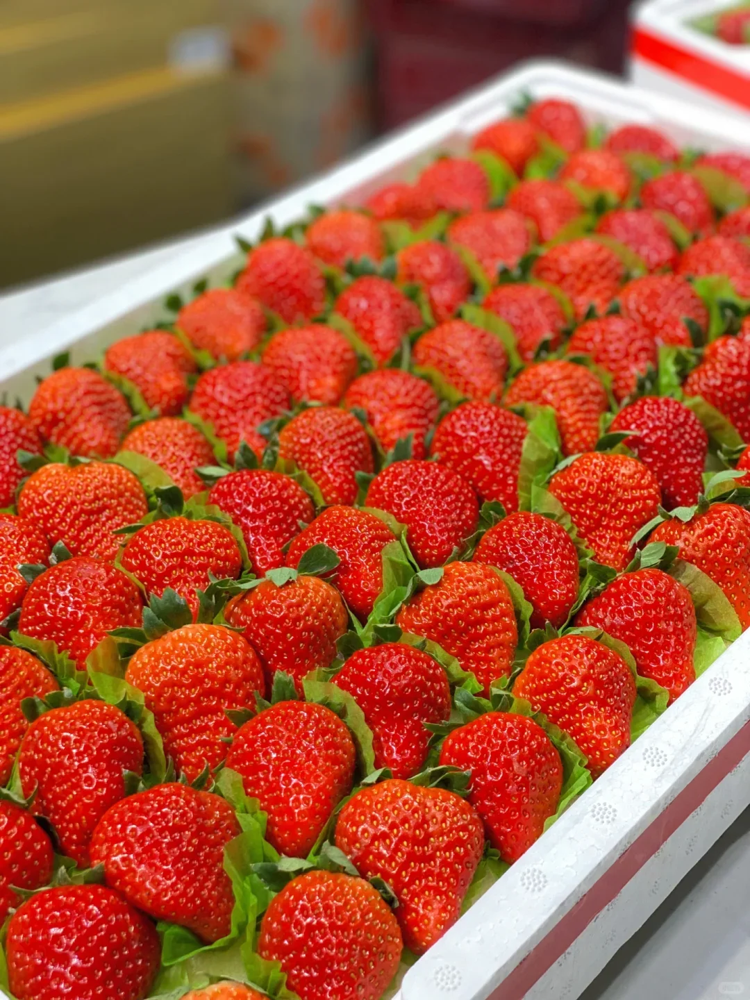 ������ݮ