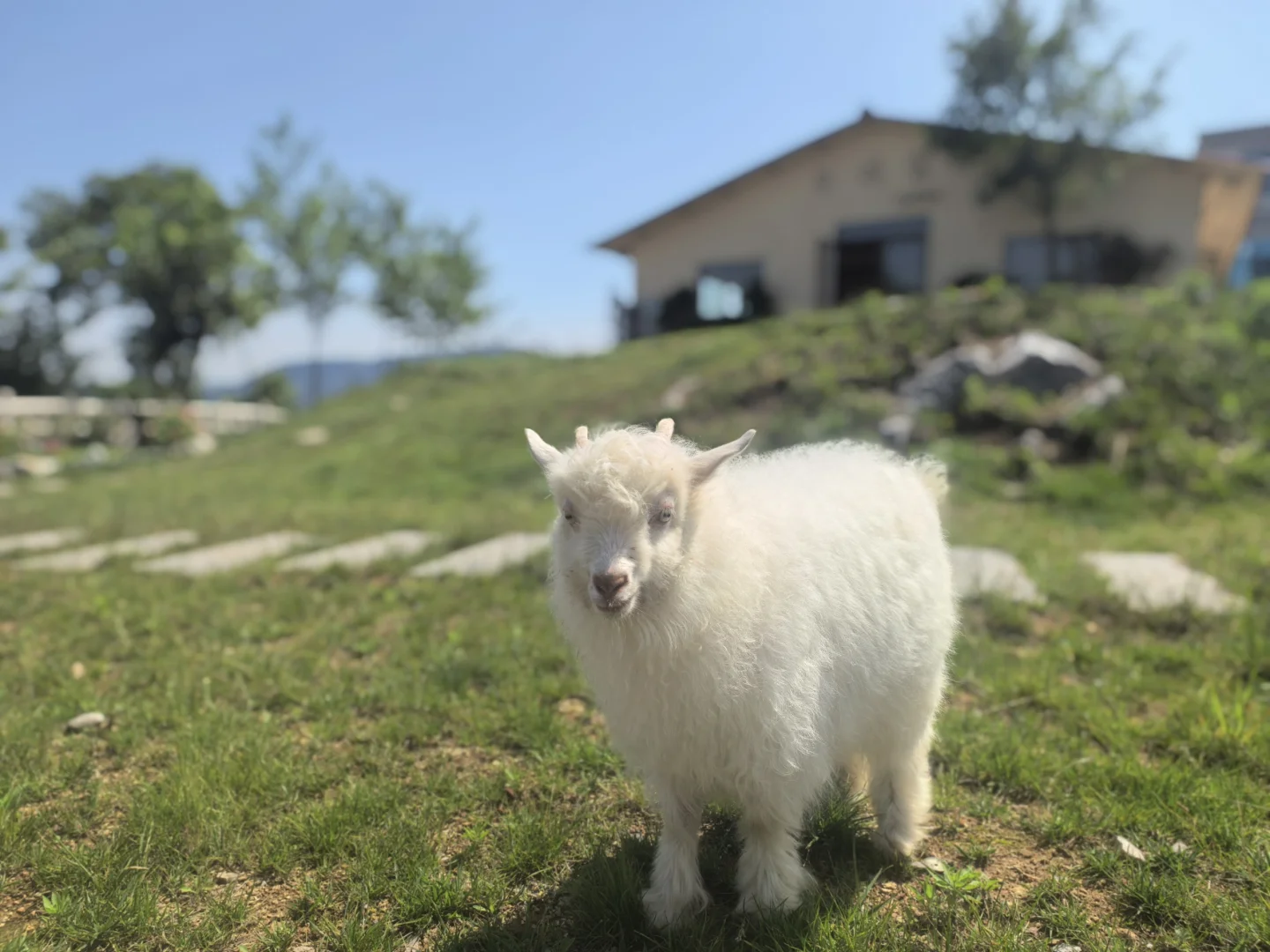 ��������Ҿ͸���