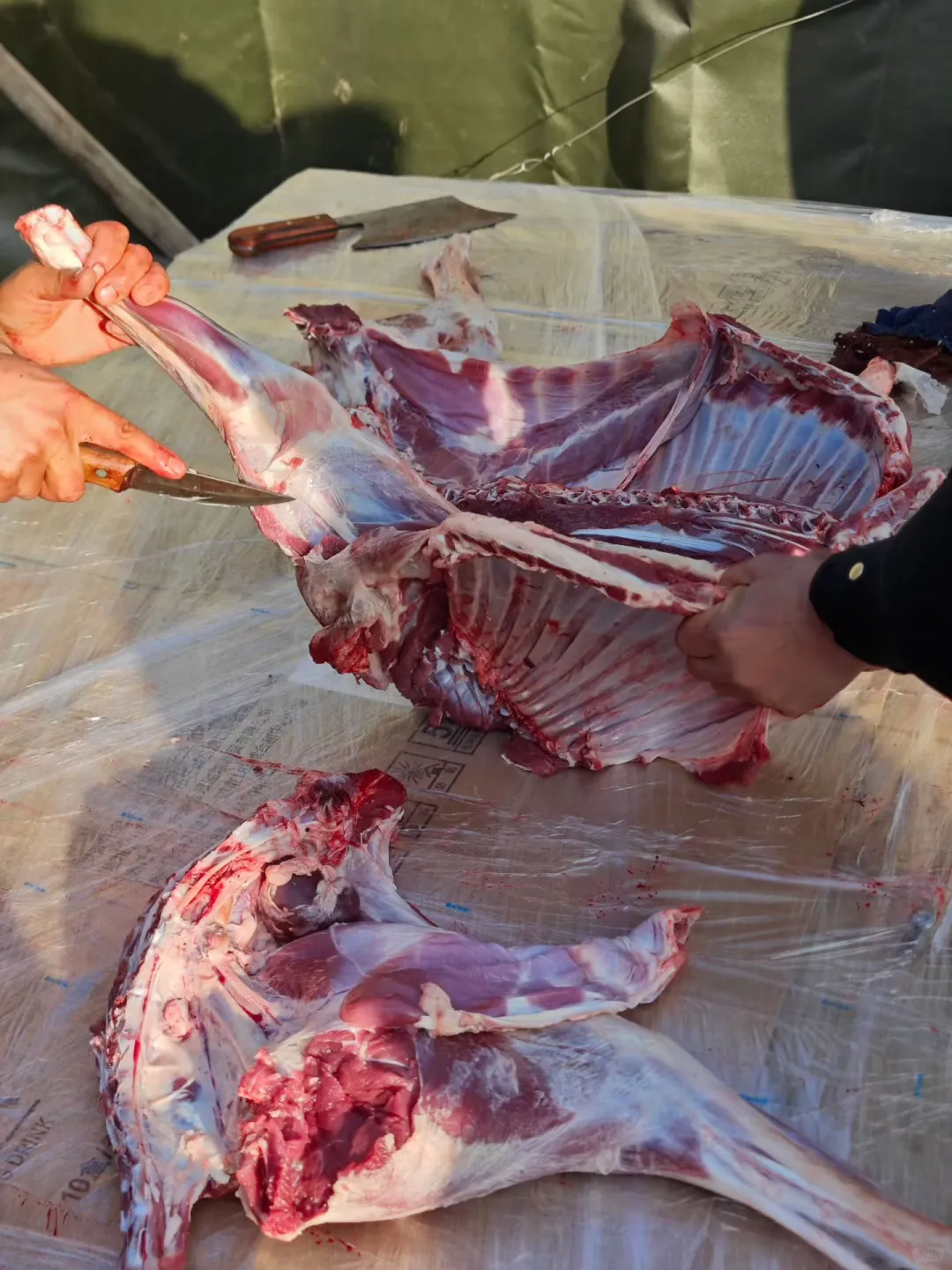 ������̲�μ����̬��ɽ��̲��