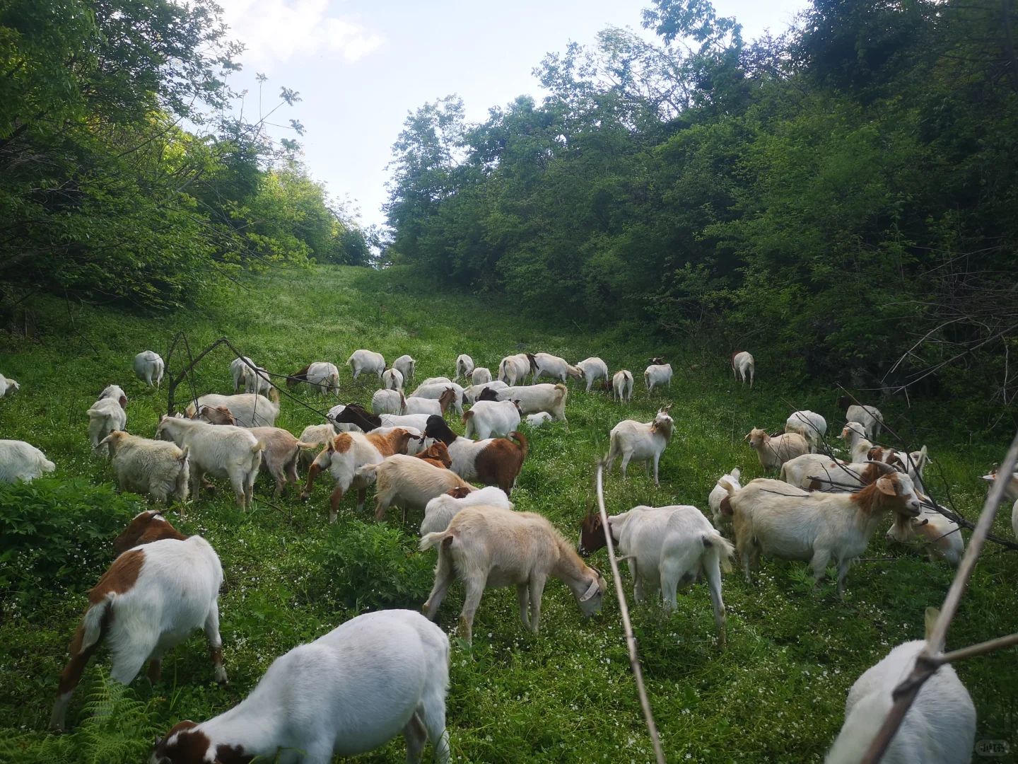 ��û����Ҫ������ɽ��ģ�ȫ�����