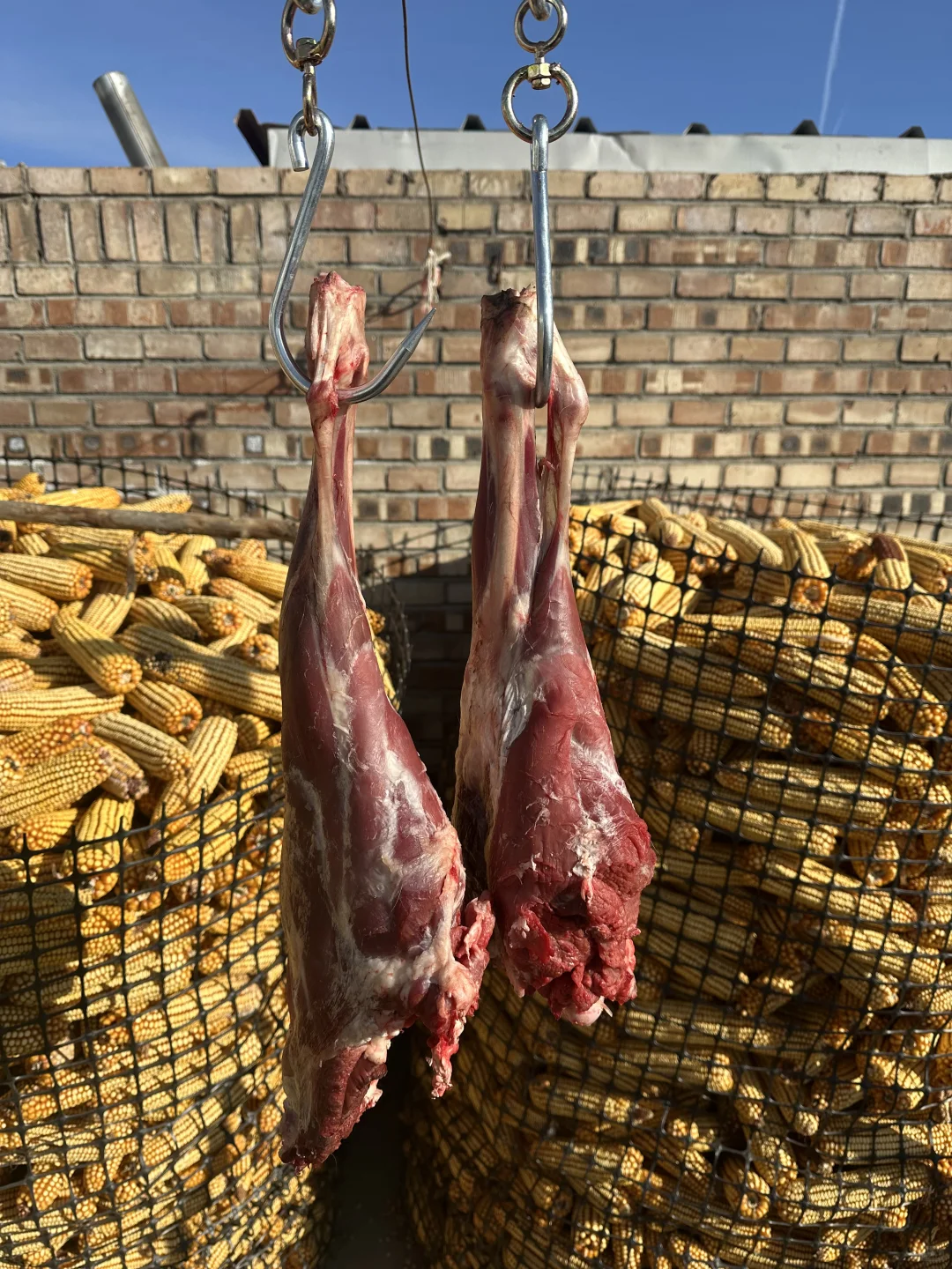 ����������