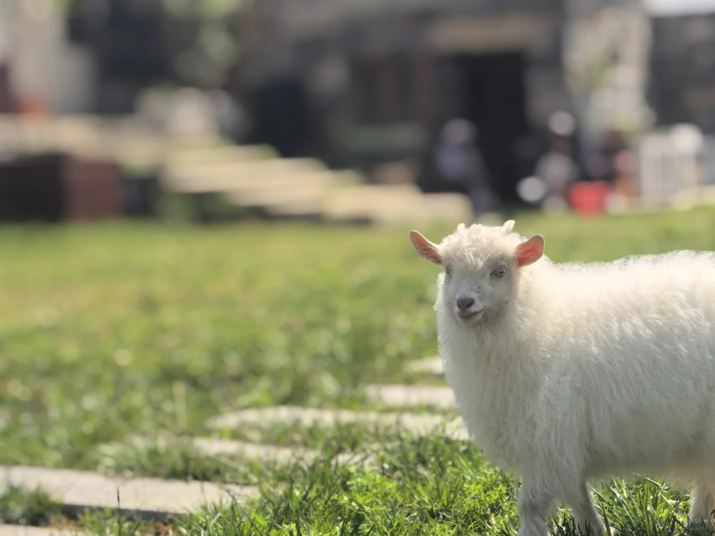 ��������Ҿ͸���