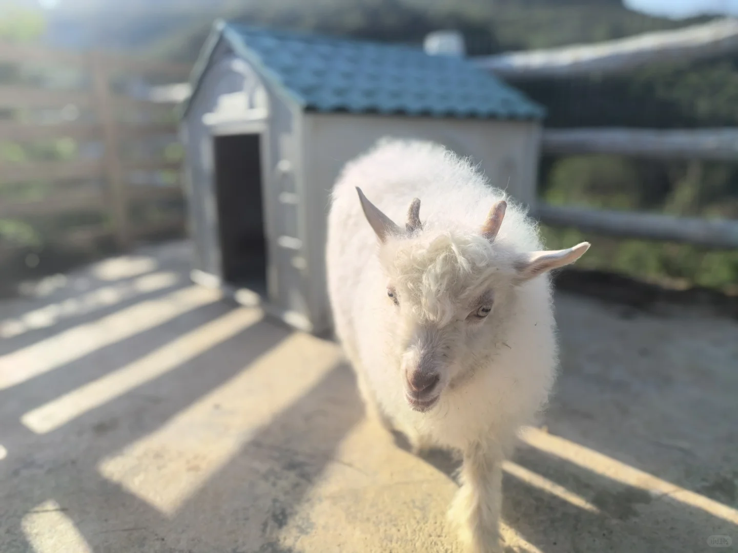 ��������Ҿ͸���