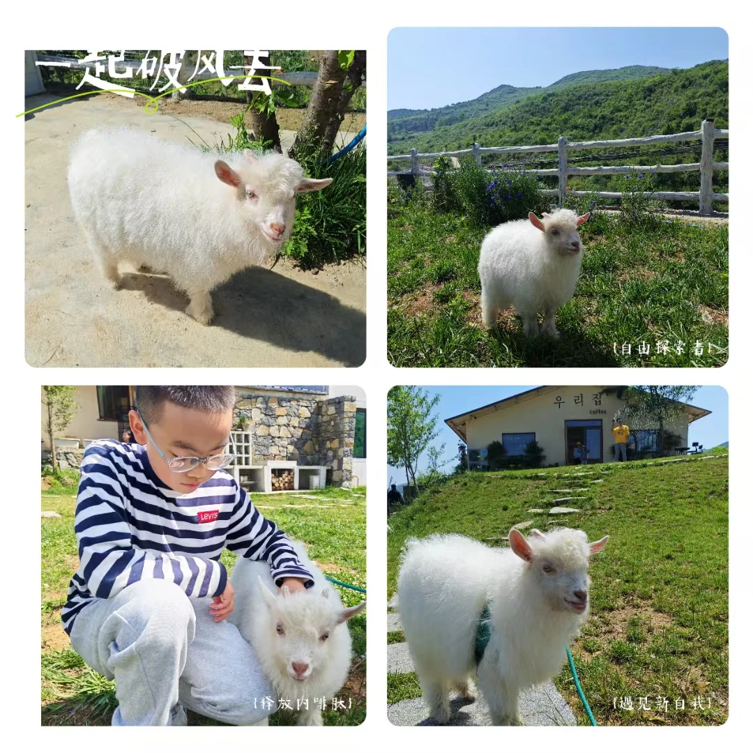 ��������Ҿ͸���