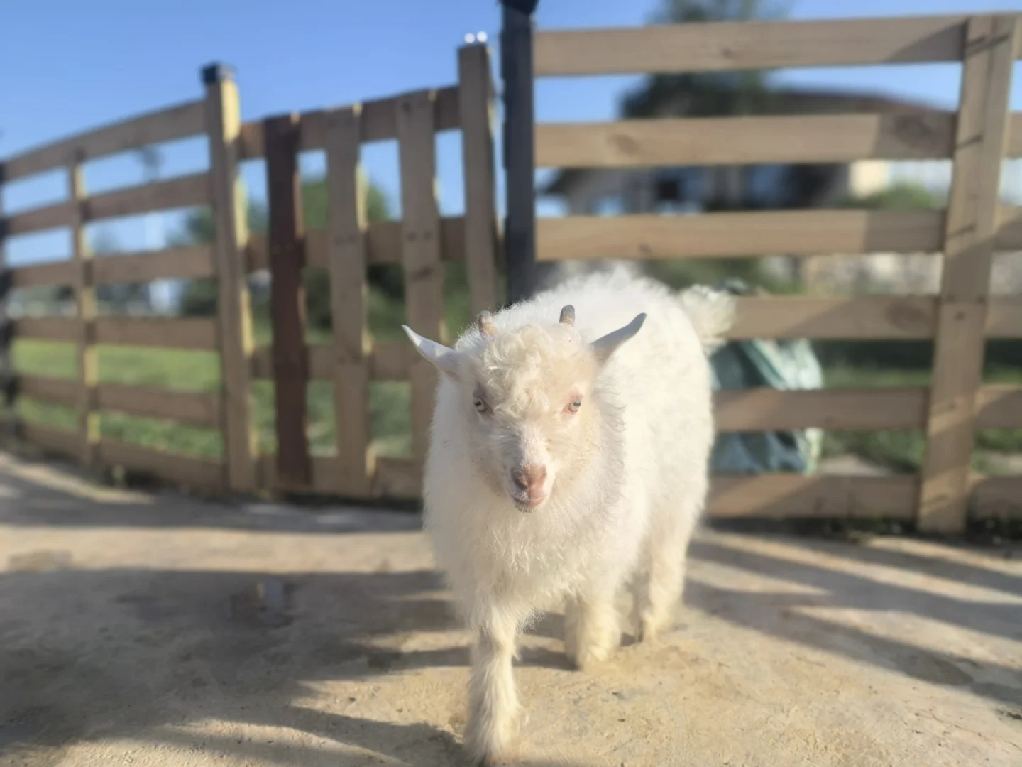 ��������Ҿ͸���