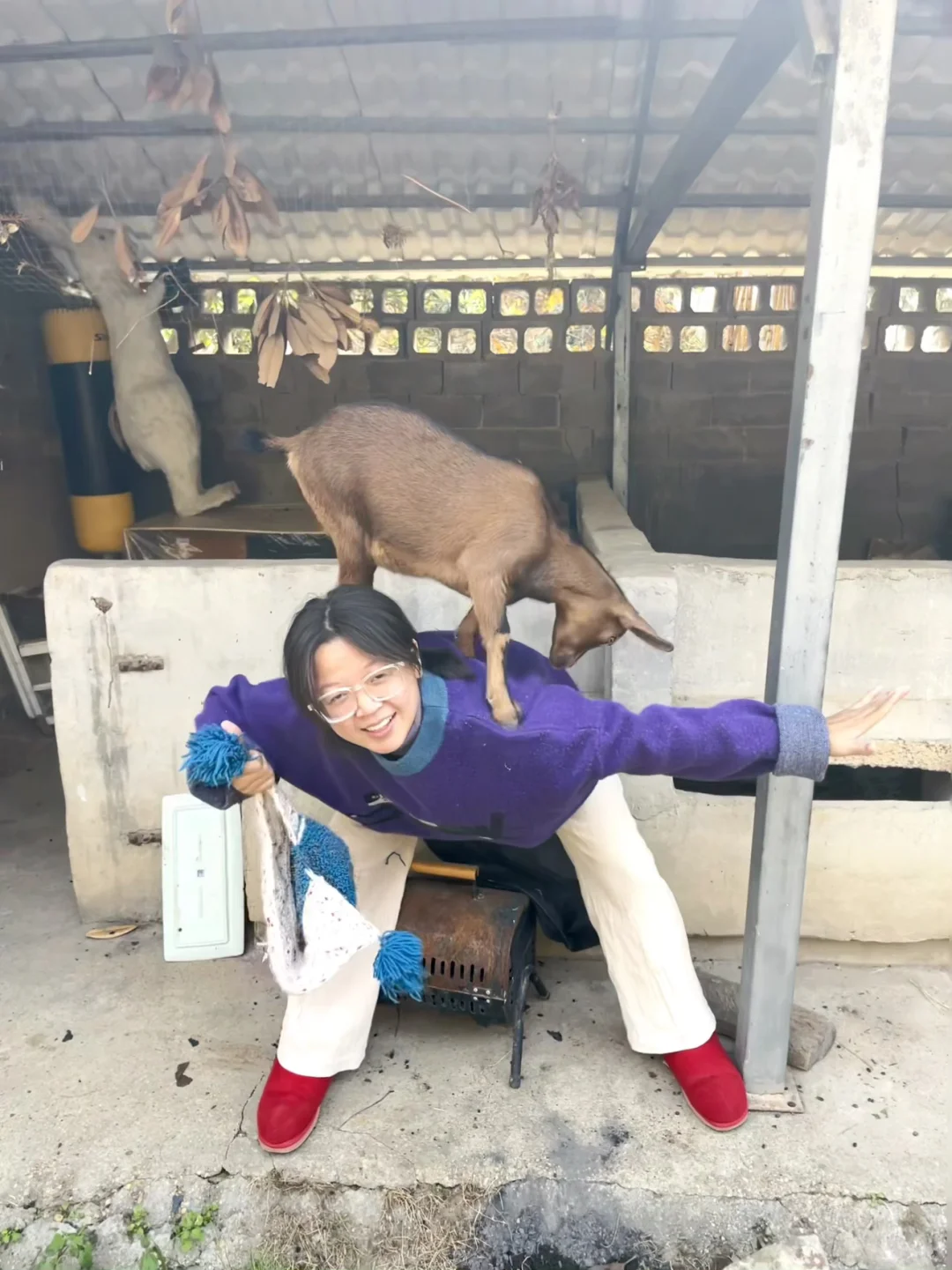 �Һ��ҵ�С����»��ڼ���