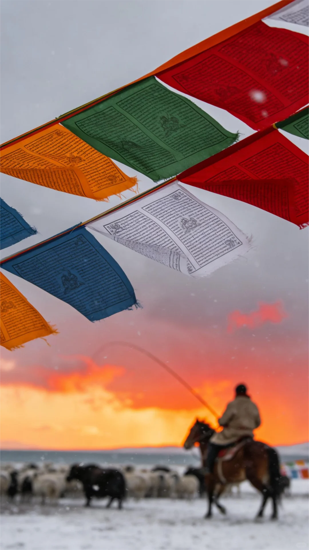 �����˴ߵ�������������桱�����쿪բ��