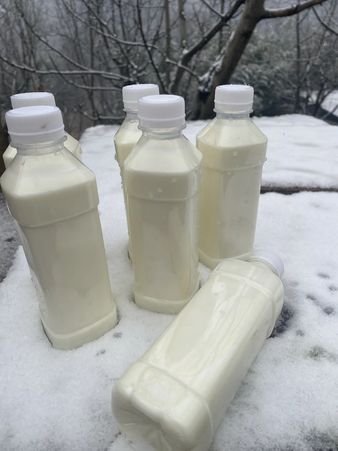 �����治��