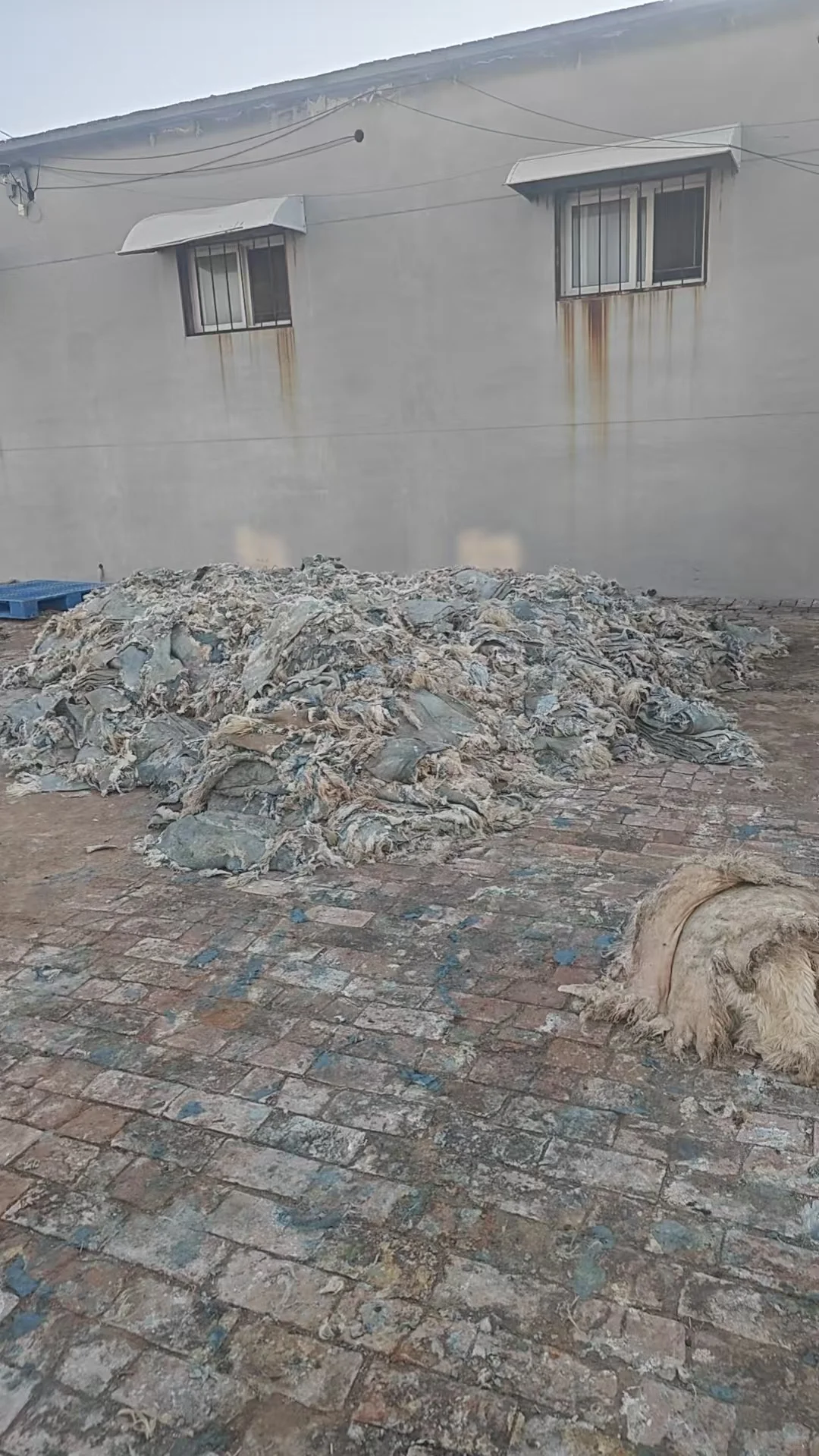 ��ʪţ��Ƥ�ɹ�