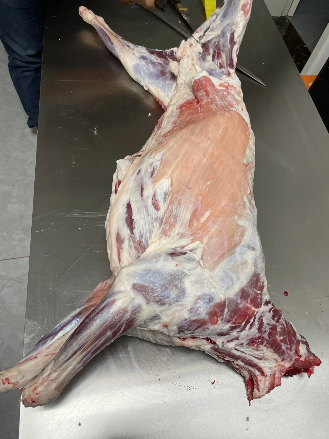 ����?������������������ȥ�ˣ������