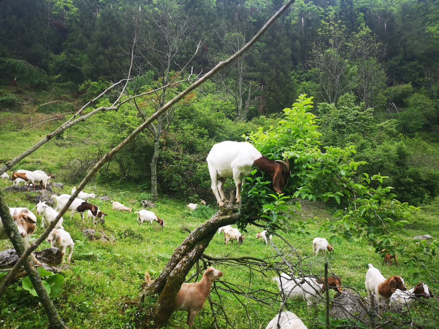 ��û����Ҫ������ɽ��ģ�ȫ�����