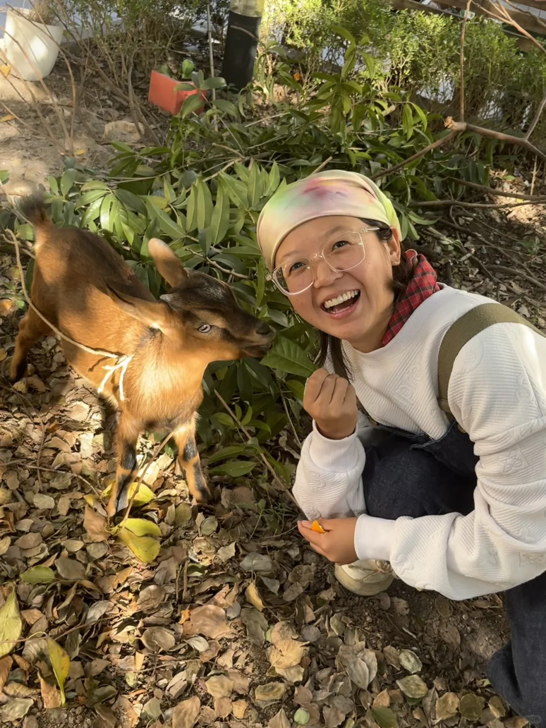 �Һ��ҵ�С����»��ڼ���