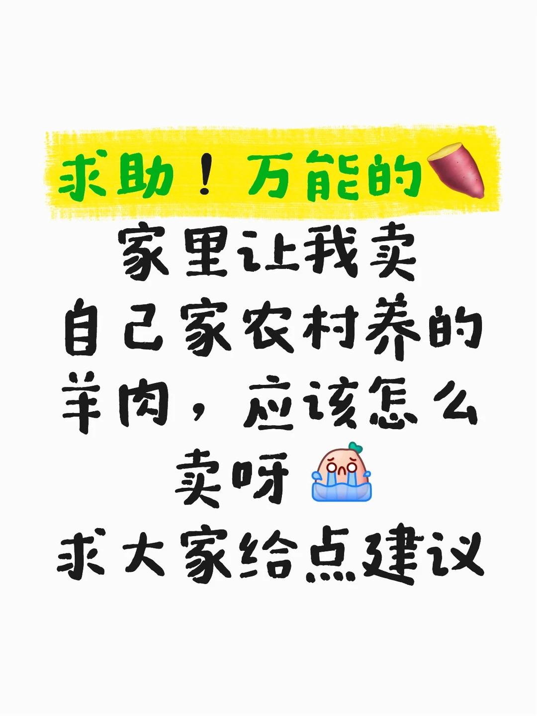 �������������Ұ�æ�����⣬��ô��ѽ