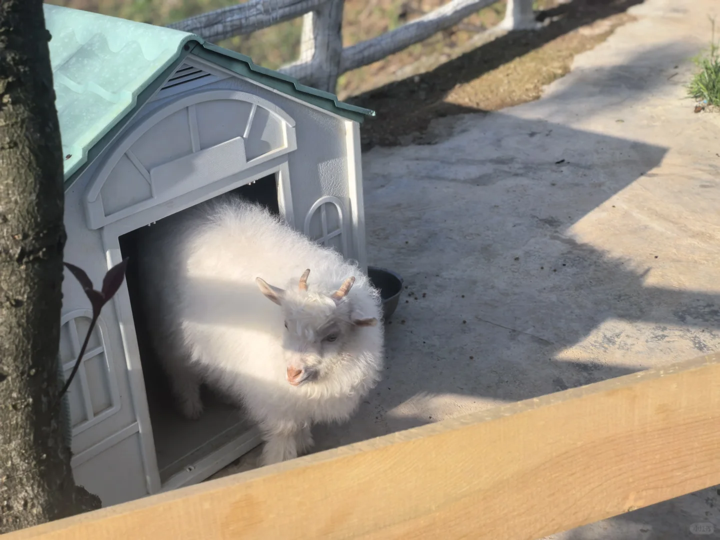 ��������Ҿ͸���