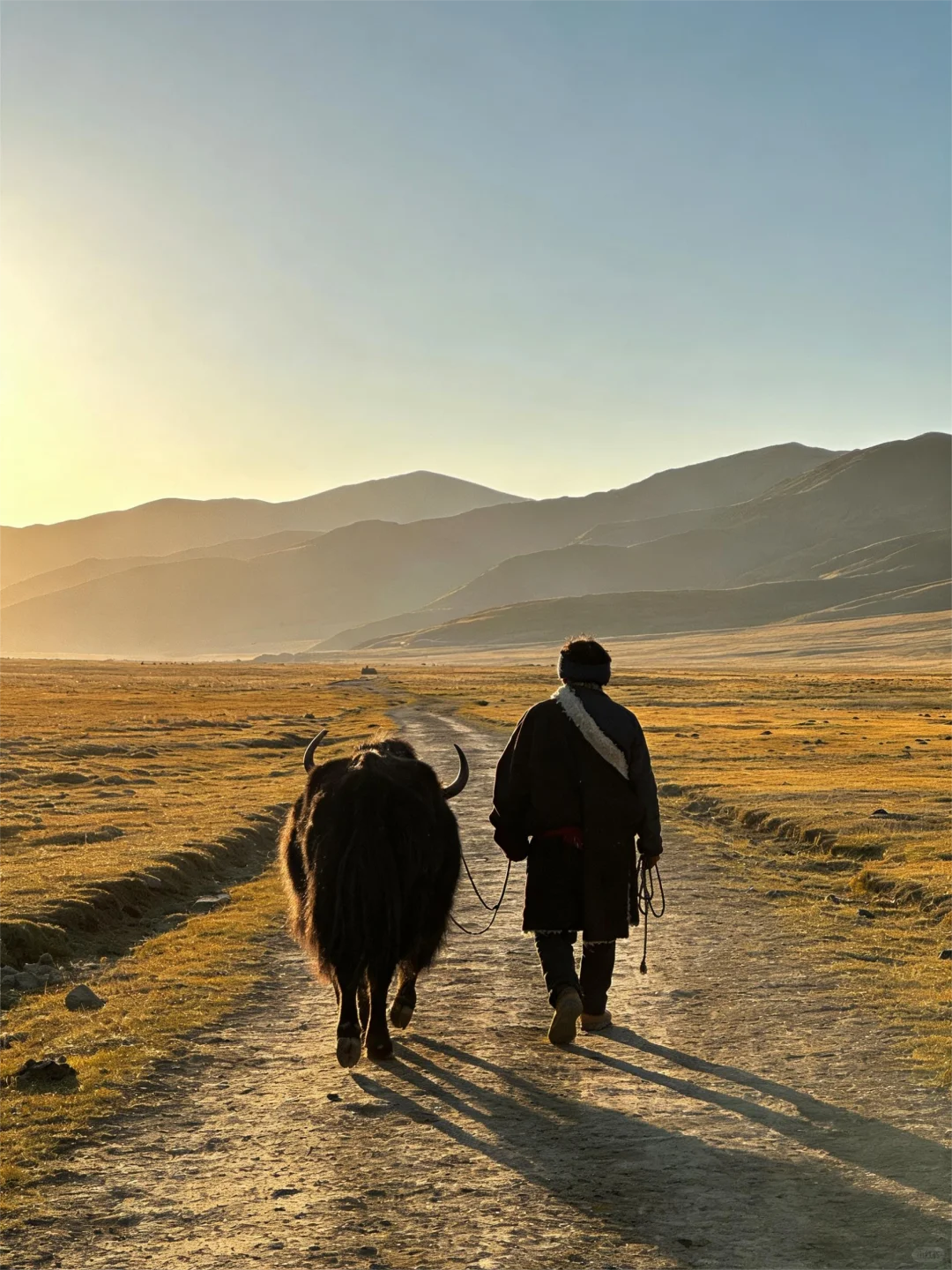 �����ҵ����Ӿ�����ͷ