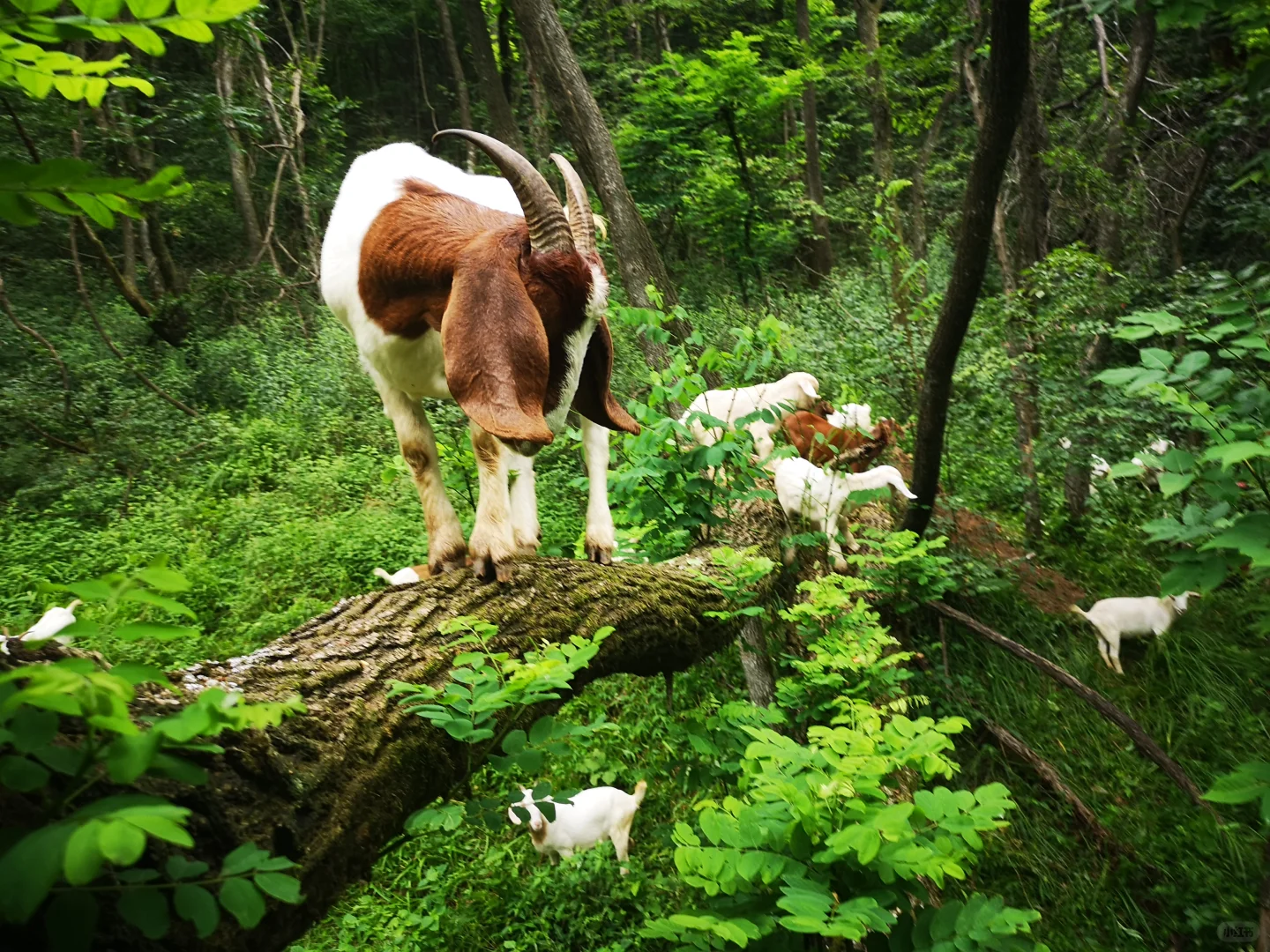 ��û����Ҫ������ɽ��ģ�ȫ�����