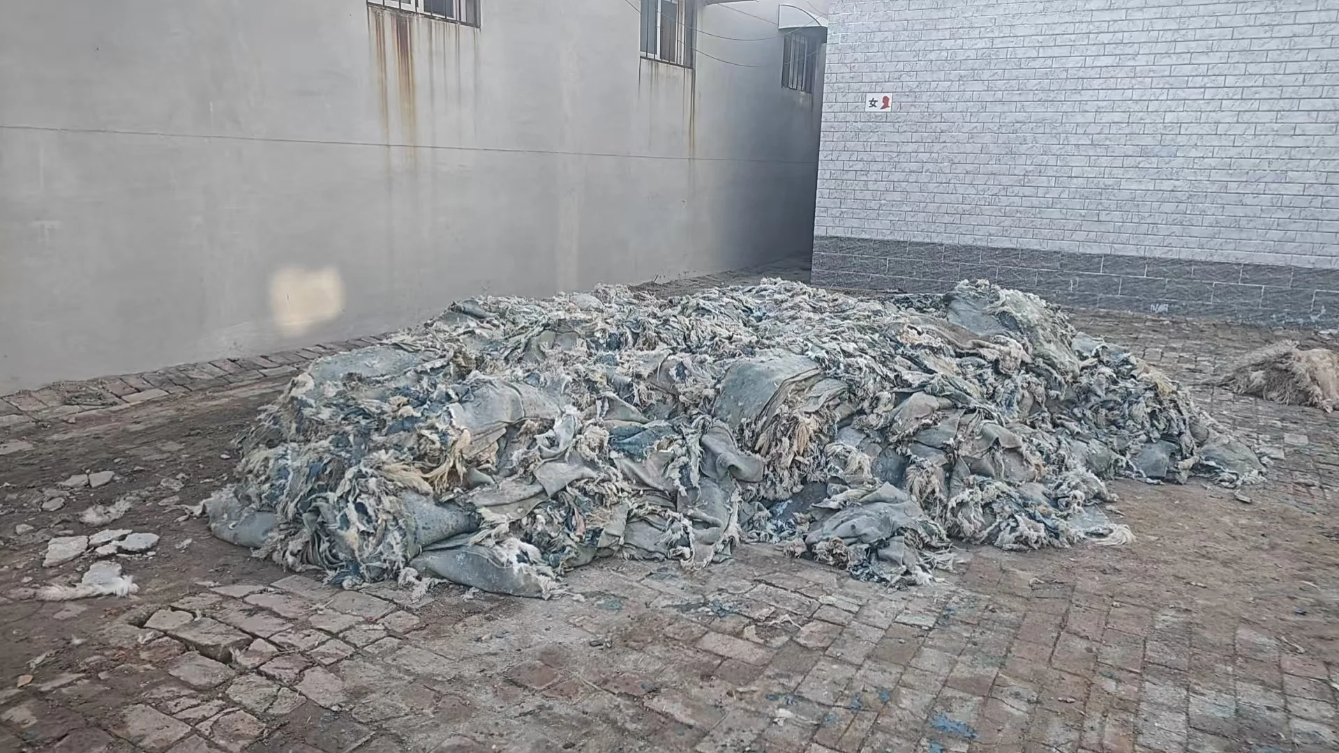 ��ʪţ��Ƥ�ɹ�