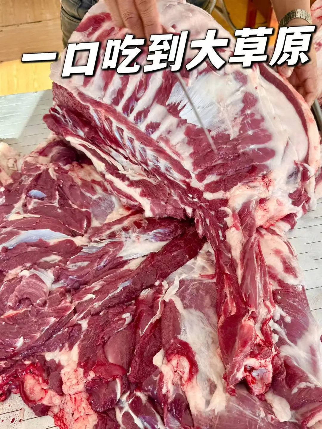 ȫ����ô������??